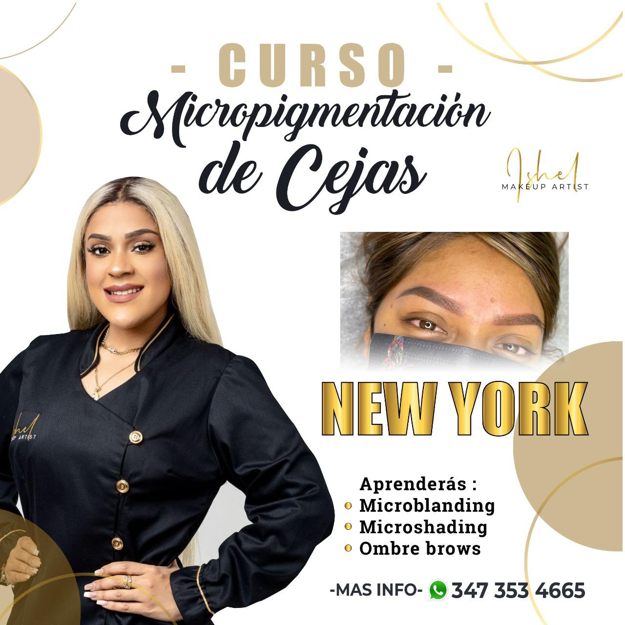 Taller de Micropigmentacion BRONX NY